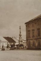 Hf_1295